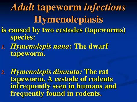 Ppt Adult Tapeworm Infections Hymenolepiasis Is Caused By Two Cestodes Tapeworms Species