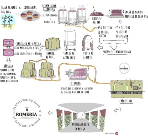 12 InfografÍas Sobre La ElaboraciÓn Del Vino Magnanimvs Bodega Y Casa