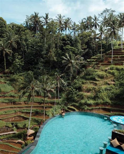 15 Cosas Que Ver Y Hacer En Ubud Bali Y Alrededores Mapa