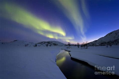 Aurora Borealis Over Skittendalen Photograph By Arild Heitmann Fine