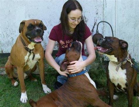 Are Boxers Best Dogs For Kids