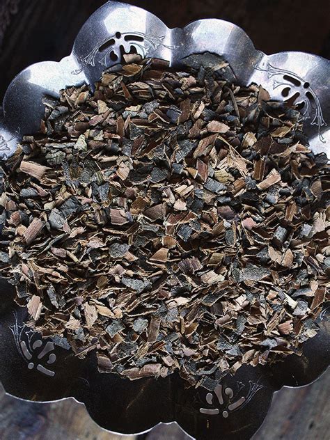 Ritual Herbs Buckthorn Bark Rite Of Ritual