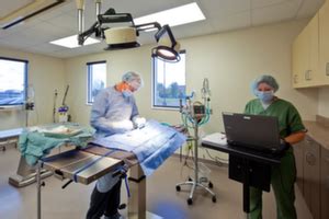 241362 (centers for medicare & medicaid services provider number). Take A Tour | Monticello Pet Hospital | Veterinarian ...