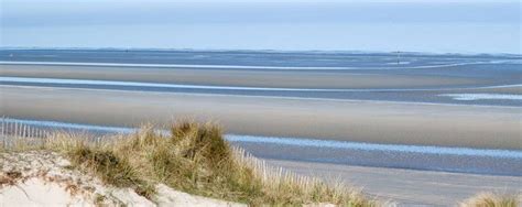 Panne électrique — panne de courant une panne de courant est la suspension de la distribution du. De Panne