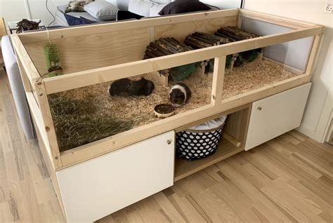 The Best Large Guinea Pig Cages That Your Pigs Will Love