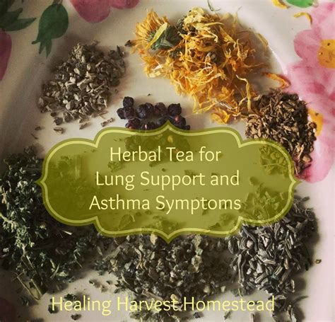 A Lung Support Tea You Must Have In Your Home Apothecaryhelps With