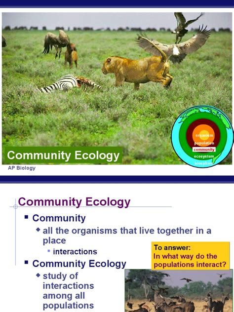 Community Ecology Powerpoint Mimicry Nature