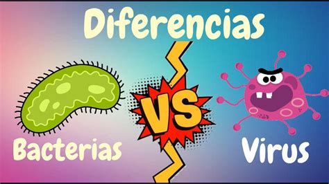 Principales Diferencias Entre Virus Y Bacterias Youtube