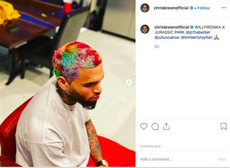 Chris Brown Debuts Rainbow Colored Hairstyle Channeling Willy Wonka
