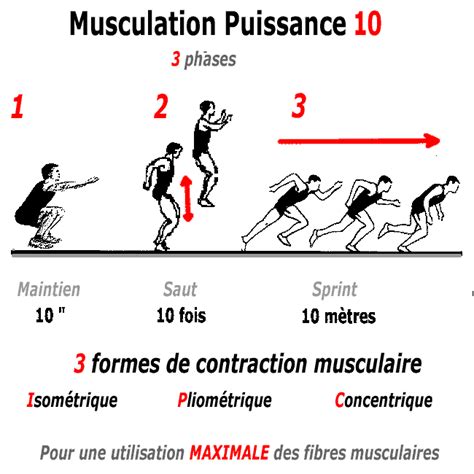 Puissance 10 3 Exercices De Musculation 3 Formes De Contractions