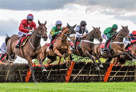 Find Your Best Horse Racing Betting Site In The Uk In 2022