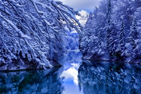 1920x1080 Resolution Lake Between Snow Covered Trees Hd Wallpaper