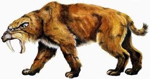 Smilodon 10000 tahun dahulu merupakan. Sains Tahun 4 5 6