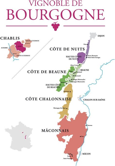 Burgund Bourgogne Weinanbaugebiet Weinregion In Frankreich
