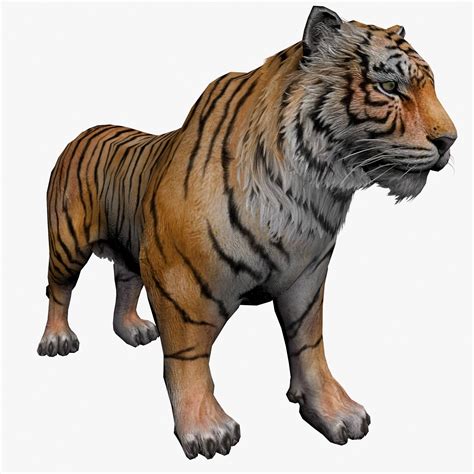 view in 3d tiger 3d model tiger 3 cgtrader scrolling down will bring an option to view it