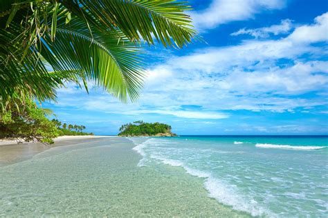 Plants Landscape Tropical Sea Palm Trees Beach Clouds Wallpapers HD Desktop And Mobile