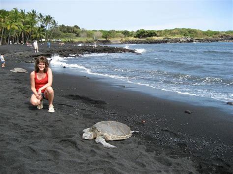 Swimming With Sea Turtles In Hawaii Black Sand Beach Hawaii Beaches