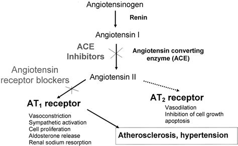 Should Angiotensin II Receptor Blockers And Statins Be Combined Circulation