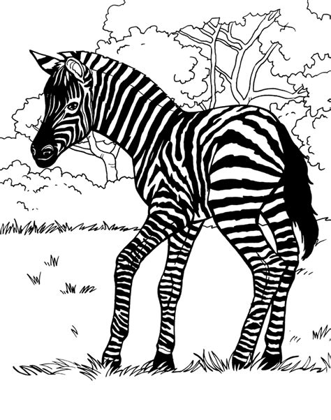 Top 20 zebra coloring pages for kids. Zebra coloring pages to download and print for free