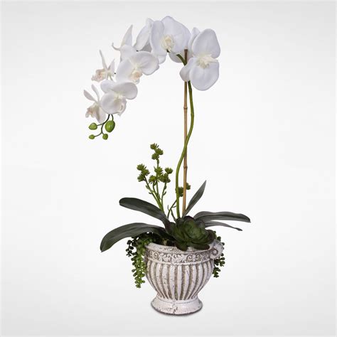 Real Touch Phalaenopsis Silk Orchid Arrangement With Succulents In A