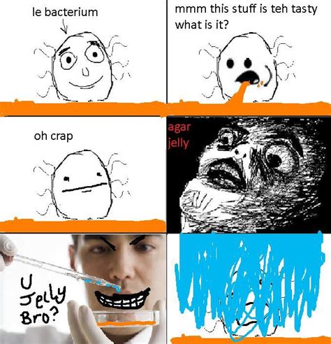 Image 218960 Oh Crap Omg Rage Face Know Your Meme