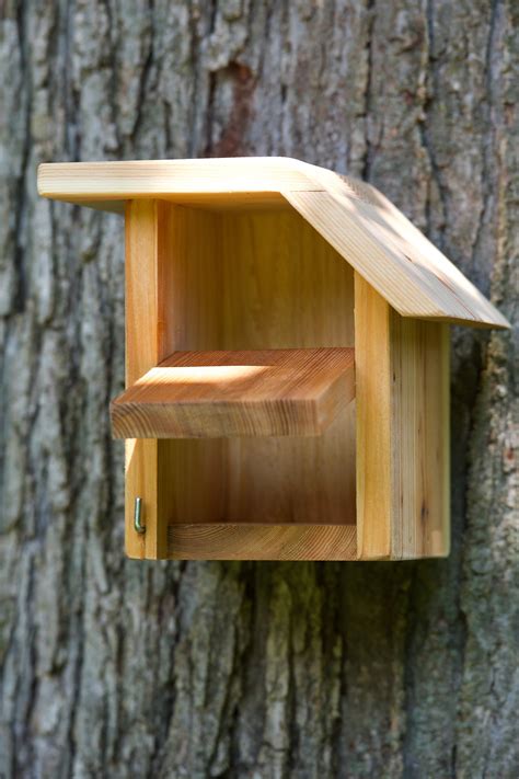 Carolina Wren Cedar Bird House Etsy