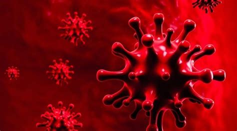 What Happens When Coronavirus Enters Our Body Orissapost