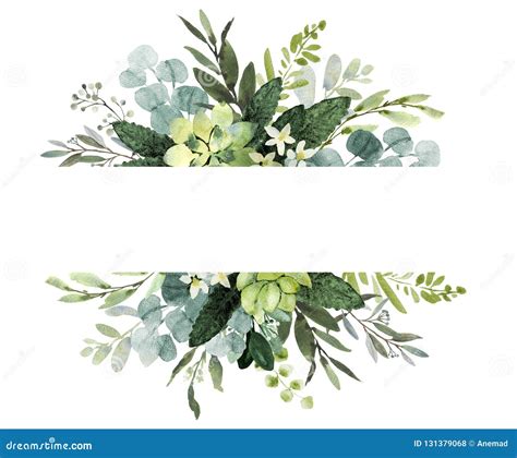 Wedding Greenery Frame Watercolor Illustration With Eucalyptus Twigs