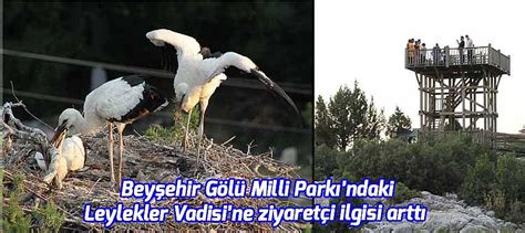Beyşehir Gölü Milli Parkındaki Leylekler Vadisine Ziyaretçi Ilgisi Arttı