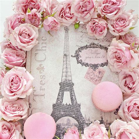 Shabby Chic Pink Paris Roses Eiffel Tower French Script Pink Macarons