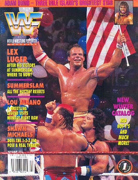 November 1993 Wwf Magazine Cover Wrestling Stars
