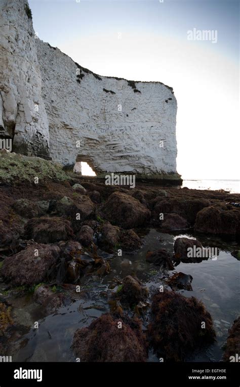 Old Harry Rocks Purbeck Coast Dorset Stock Photo Alamy