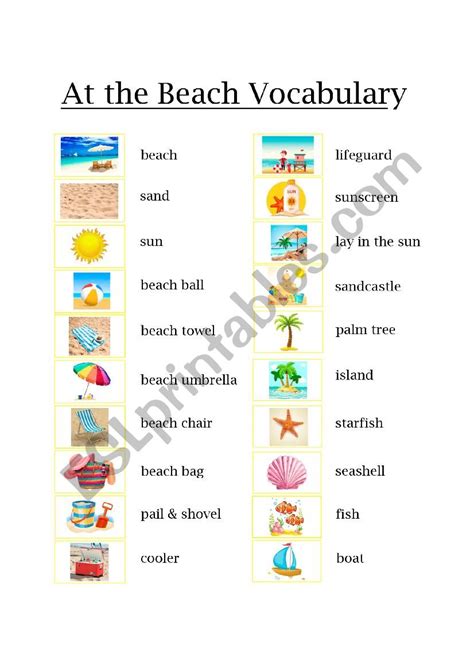 Beach Vocabulary Esl Worksheet By Evamor