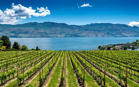 Things To Do In The Okanagan Valley This Summer Rampone Marsh