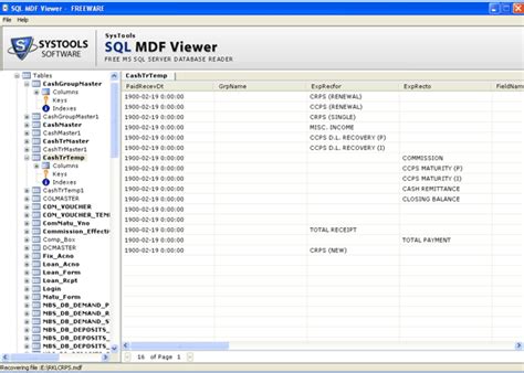 Open Sql Database With Mdf Viewer Tool