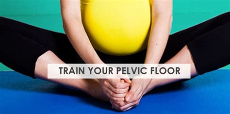 Pelvic Floor Muscle Exercises While Pregnant Review Home Co