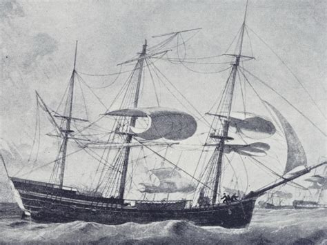 The Second Fleet Untold Story Of Australias Scandalous Convict Ship