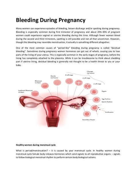 Pictures Of Spotting During Pregnancy 6 Weeks Is It Normal To Spot At