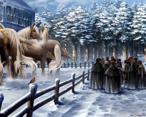 A Lesson In Unicorns Harry Potter Goblet Of Fire 4k Wallpaper Download
