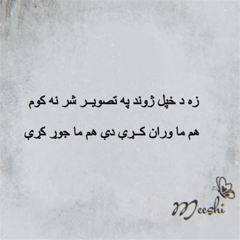 Pashto Poetry Pashto Quotes Poetry Pashto Shayari