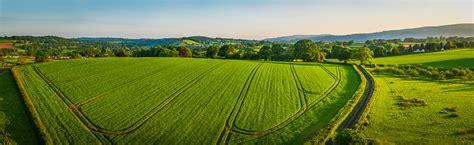 Aerial Panorama Over Healthy Green Crop Field Rolling Farmland Pasture