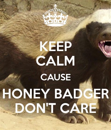 Honey Badger Dont Care Honey Badger Photo 38506718 Fanpop