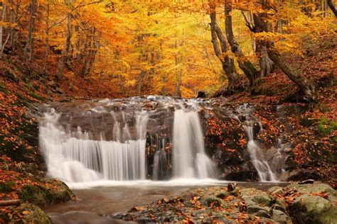 4k 5k Autumn Stones Waterfalls Forests Foliage Hd Wallpaper