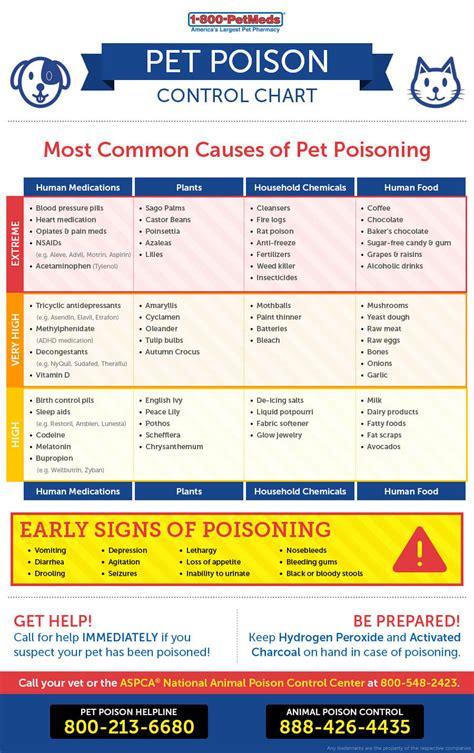 11 Symptoms Of Poisoned Dog 53 Toxins Plants And Poisons For Dogs √ How