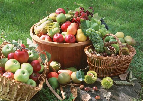 Online Crop Assorted Fruits Lot In Basket Hd Wallpaper Wallpaper Flare