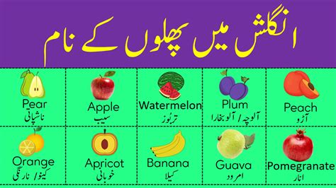Ber is the urdu name for the fruit of the tree zizyphus vulgaris, or mauritania or sativa and is called the jujube berry in english. Fruit Names Vocabulary in Urdu with Pictures in 2020 ...