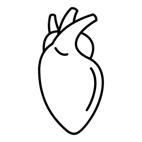 Human Outline Vector Art Png Human Heart Icon Outline Vector Heart