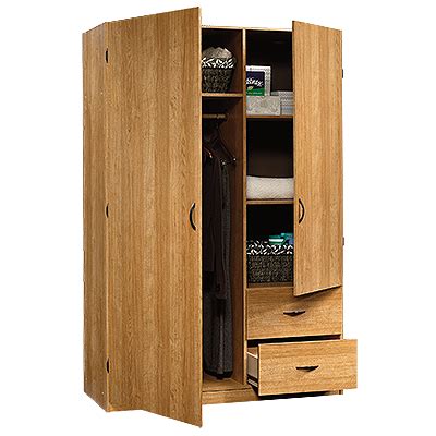Wardrobe / Storage Cabinet | Bedroom Storage | Wooden storage cabinet, Wardrobe storage cabinet ...