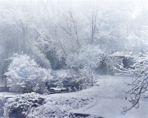 Winter Wonderland Grand Rapids Michigan Photograph By Evie Carrier Pixels