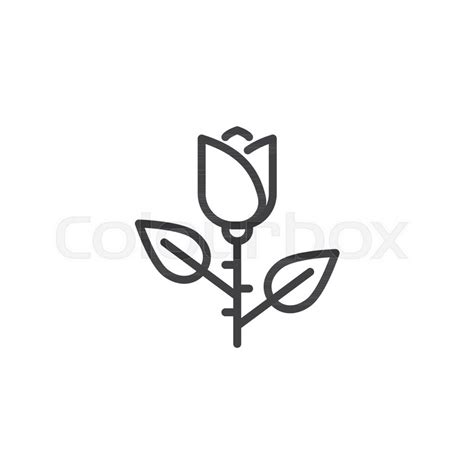 Rose Flower Outline Icon Linear Style Stock Vector Colourbox